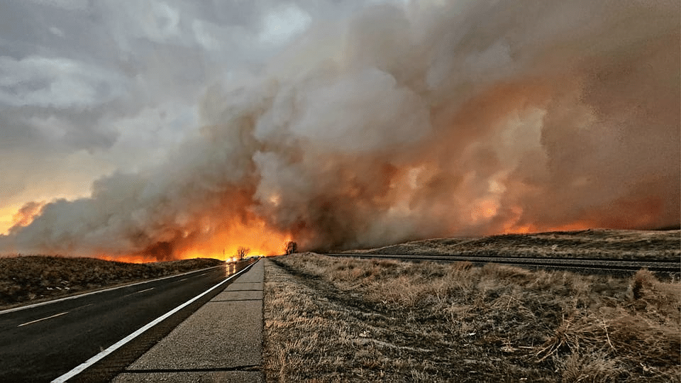 Massive wildfire with towering flames engulfing a forest, with bold “Wildfire Claims” text overlayed — representing legal support for fire-related property damage.